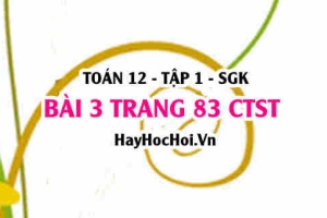 Bài 3 trang 83 Toán 12 tập 1 Chân trời sáng tạo